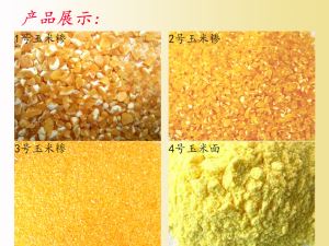 厂家直销丝瓜视频破解版粉粹机 杂粮制粉机 丝瓜视频破解版加工设备 专业定制